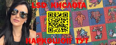 хмурый Сланцы
