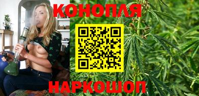 хмурый Сланцы