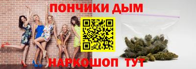 хмурый Сланцы