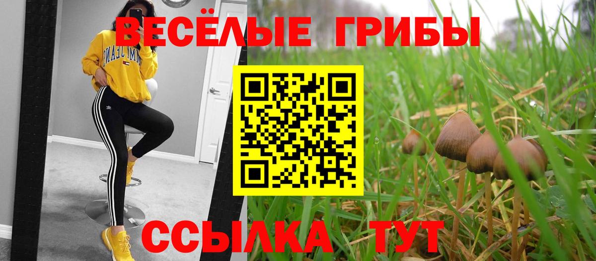 Боровичи  купить наркоту  Вход с VPN  Псилоцибиновые грибы Psilocybe 