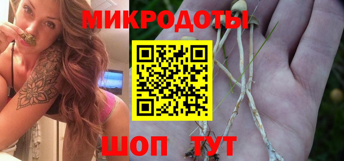 Псилоцибиновые грибы Psilocybine cubensis Боровичи